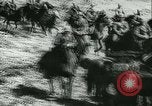 Image of Battle of France France, 1940, second 23 stock footage video 65675021755