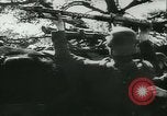 Image of Battle of France France, 1940, second 27 stock footage video 65675021755