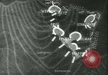 Image of Battle of France France, 1940, second 16 stock footage video 65675021756