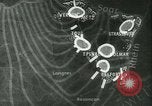 Image of Battle of France France, 1940, second 19 stock footage video 65675021756