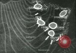 Image of Battle of France France, 1940, second 20 stock footage video 65675021756