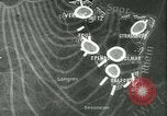 Image of Battle of France France, 1940, second 21 stock footage video 65675021756
