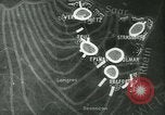 Image of Battle of France France, 1940, second 22 stock footage video 65675021756