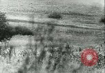 Image of Battle of France France, 1940, second 33 stock footage video 65675021756