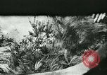 Image of World War II North Africa, 1941, second 60 stock footage video 65675021763