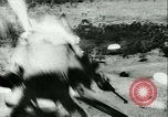 Image La Bataille de Midway théâtre du Pacifique, 1942, de la seconde 19 séquences d'archives historiques vidéo 65675021766