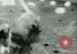 Image La Bataille de Midway théâtre du Pacifique, 1942, de la seconde 28 séquences d'archives historiques vidéo 65675021766
