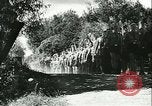 Image of Hitler Youth Eastern Front European Theater, 1944, second 57 stock footage video 65675021773
