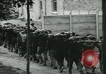 Image of Vichy Freance militia France, 1944, second 21 stock footage video 65675021775