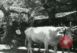 Image Romanian Expositions agricoles Sibiu Romania, 1942, de la seconde 49 séquences d'archives historiques vidéo 65675021777