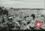 Image l'agriculture et du tabac de la fourrure en Danemark Danemark, 1942, de la seconde 4 séquences d'archives historiques vidéo 65675021778