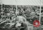 Image l'agriculture et du tabac de la fourrure en Danemark Danemark, 1942, de la seconde 11 séquences d'archives historiques vidéo 65675021778
