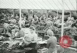 Image l'agriculture et du tabac de la fourrure en Danemark Danemark, 1942, de la seconde 12 séquences d'archives historiques vidéo 65675021778