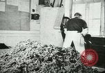 Image l'agriculture et du tabac de la fourrure en Danemark Danemark, 1942, de la seconde 18 séquences d'archives historiques vidéo 65675021778