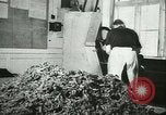 Image l'agriculture et du tabac de la fourrure en Danemark Danemark, 1942, de la seconde 19 séquences d'archives historiques vidéo 65675021778