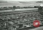 Image l'agriculture et du tabac de la fourrure en Danemark Danemark, 1942, de la seconde 29 séquences d'archives historiques vidéo 65675021778