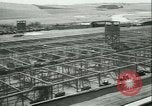 Image l'agriculture et du tabac de la fourrure en Danemark Danemark, 1942, de la seconde 30 séquences d'archives historiques vidéo 65675021778