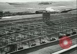 Image l'agriculture et du tabac de la fourrure en Danemark Danemark, 1942, de la seconde 31 séquences d'archives historiques vidéo 65675021778