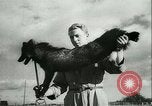 Image l'agriculture et du tabac de la fourrure en Danemark Danemark, 1942, de la seconde 39 séquences d'archives historiques vidéo 65675021778