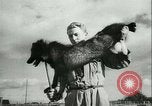 Image l'agriculture et du tabac de la fourrure en Danemark Danemark, 1942, de la seconde 40 séquences d'archives historiques vidéo 65675021778