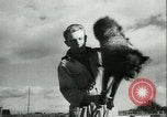 Image l'agriculture et du tabac de la fourrure en Danemark Danemark, 1942, de la seconde 41 séquences d'archives historiques vidéo 65675021778
