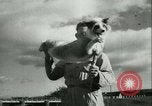 Image l'agriculture et du tabac de la fourrure en Danemark Danemark, 1942, de la seconde 45 séquences d'archives historiques vidéo 65675021778