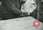 Image l'agriculture et du tabac de la fourrure en Danemark Danemark, 1942, de la seconde 51 séquences d'archives historiques vidéo 65675021778