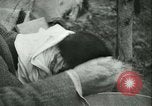 Image l'agriculture et du tabac de la fourrure en Danemark Danemark, 1942, de la seconde 54 séquences d'archives historiques vidéo 65675021778