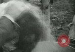 Image l'agriculture et du tabac de la fourrure en Danemark Danemark, 1942, de la seconde 57 séquences d'archives historiques vidéo 65675021778