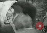 Image l'agriculture et du tabac de la fourrure en Danemark Danemark, 1942, de la seconde 58 séquences d'archives historiques vidéo 65675021778