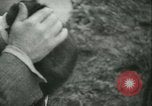 Image l'agriculture et du tabac de la fourrure en Danemark Danemark, 1942, de la seconde 61 séquences d'archives historiques vidéo 65675021778
