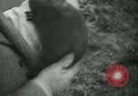 Image l'agriculture et du tabac de la fourrure en Danemark Danemark, 1942, de la seconde 62 séquences d'archives historiques vidéo 65675021778