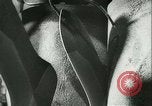 Image allemand hosiery factory Allemagne, 1942, de la seconde 60 séquences d'archives historiques vidéo 65675021779