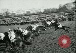 Image course de chevaux à l'hippodrome d'Auteuil Paris France, 1942, de la seconde 11 séquences d'archives historiques vidéo 65675021780
