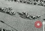 Image course de chevaux à l'hippodrome d'Auteuil Paris France, 1942, de la seconde 28 séquences d'archives historiques vidéo 65675021780