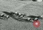 Image course de chevaux à l'hippodrome d'Auteuil Paris France, 1942, de la seconde 31 séquences d'archives historiques vidéo 65675021780