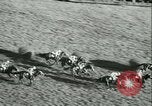 Image course de chevaux à l'hippodrome d'Auteuil Paris France, 1942, de la seconde 32 séquences d'archives historiques vidéo 65675021780