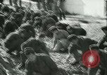 Immagine di Miniera ungherese sapper engineer soldati Ungheria, 1942, secondo 14 filmato di repertorio 65675021781