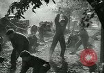 Immagine di Miniera ungherese sapper engineer soldati Ungheria, 1942, secondo 20 filmato di repertorio 65675021781
