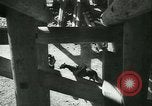Immagine di Miniera ungherese sapper engineer soldati Ungheria, 1942, secondo 32 filmato di repertorio 65675021781