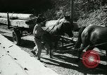 Immagine di Miniera ungherese sapper engineer soldati Ungheria, 1942, secondo 42 filmato di repertorio 65675021781