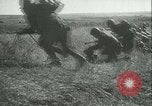Image of Battle of Stalingrad Stalingrad Russia Soviet Union, 1942, second 8 stock footage video 65675021784