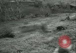 Image of Battle of Stalingrad Stalingrad Russia Soviet Union, 1942, second 13 stock footage video 65675021784
