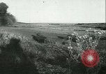 Image of Battle of Stalingrad Stalingrad Russia Soviet Union, 1942, second 20 stock footage video 65675021784