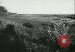 Image of Battle of Stalingrad Stalingrad Russia Soviet Union, 1942, second 21 stock footage video 65675021784