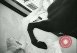 Standbild deutscher Bildhauer Deutschland, 1942, aus Sekunde 41 historischem Filmmaterial Videoclip 65675021787