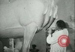 Standbild deutscher Bildhauer Deutschland, 1942, aus Sekunde 62 historischem Filmmaterial Videoclip 65675021787