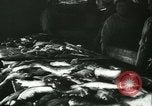 Standbild Fisch Haut-Anlage in Deutschland Deutschland, 1942, aus Sekunde 3 historischem Filmmaterial Videoclip 65675021789