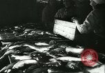 Standbild Fisch Haut-Anlage in Deutschland Deutschland, 1942, aus Sekunde 4 historischem Filmmaterial Videoclip 65675021789