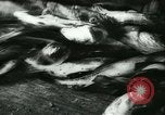 Standbild Fisch Haut-Anlage in Deutschland Deutschland, 1942, aus Sekunde 6 historischem Filmmaterial Videoclip 65675021789